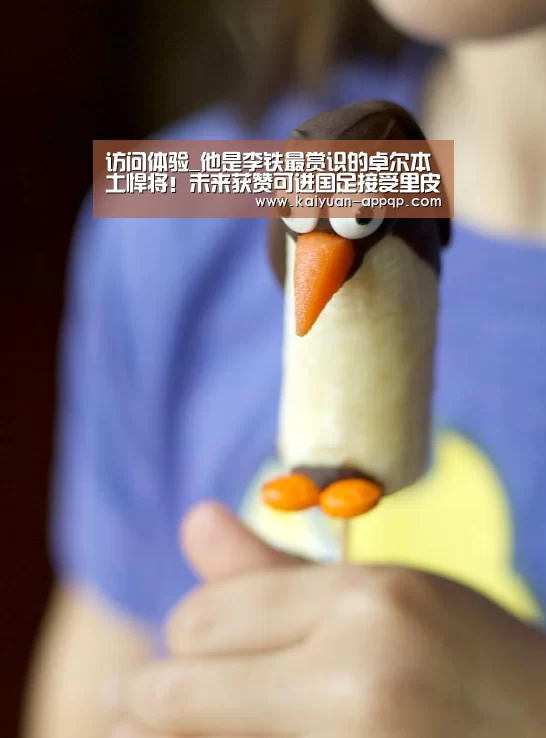 访问体验_他是李铁最赏识的卓尔本土悍将!未来获赞可进国足接受里皮考察(图2) 使用教程