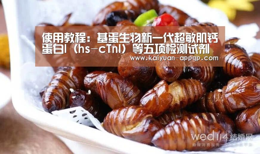 多端支持