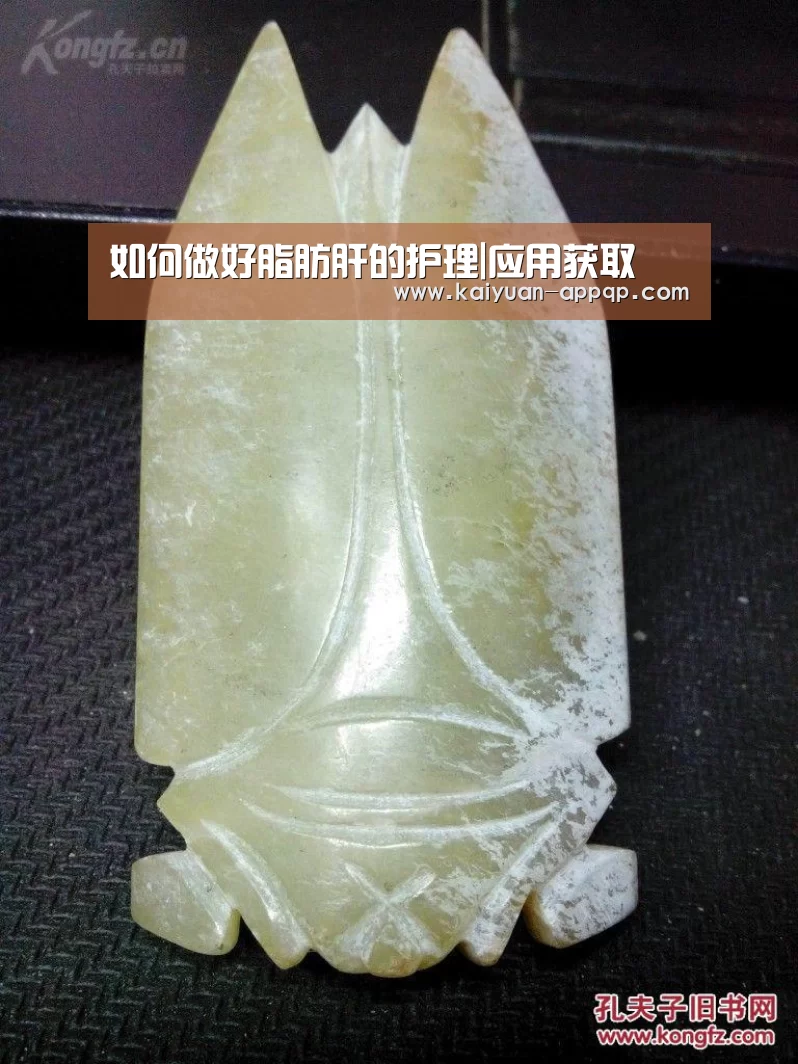 如何做好脂肪肝的护理|应用获取(图2) 客户端安装